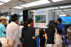 真夏の銀座に小さな海が出現！大画面で迫力のバーチャルリアリティを体験「Sony Aquarium VR 黒潮の海 イベント～VR黒潮の海で泳ごう！～」レポートの画像74
