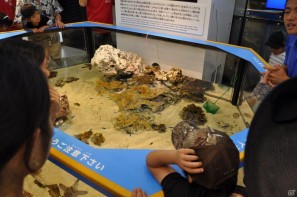 真夏の銀座に小さな海が出現！大画面で迫力のバーチャルリアリティを体験「Sony Aquarium VR 黒潮の海 イベント～VR黒潮の海で泳ごう！～」レポートの画像75