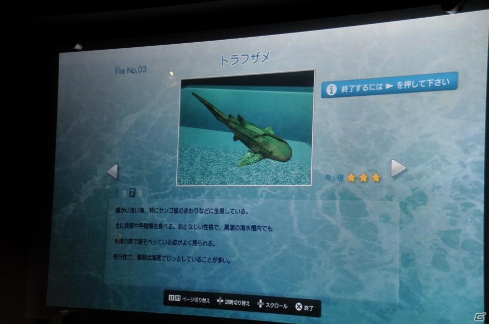 真夏の銀座に小さな海が出現！大画面で迫力のバーチャルリアリティを体験「Sony Aquarium VR 黒潮の海 イベント～VR黒潮の海で泳ごう！～」レポートの画像19