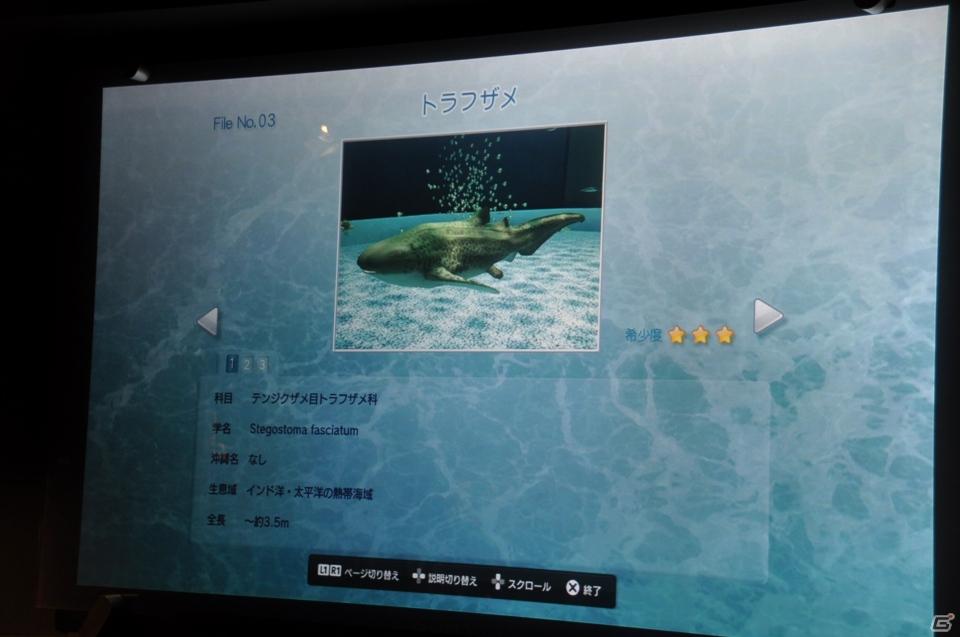 真夏の銀座に小さな海が出現！大画面で迫力のバーチャルリアリティを体験「Sony Aquarium VR 黒潮の海 イベント～VR黒潮の海で泳ごう！～」レポートの画像20