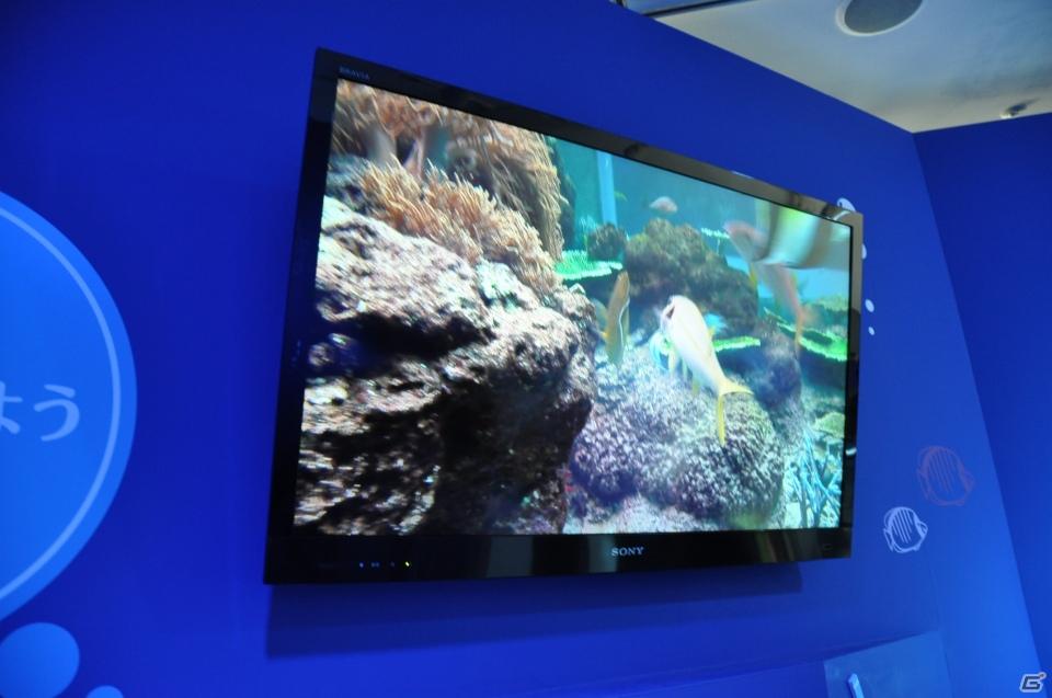 真夏の銀座に小さな海が出現！大画面で迫力のバーチャルリアリティを体験「Sony Aquarium VR 黒潮の海 イベント～VR黒潮の海で泳ごう！～」レポートの画像68
