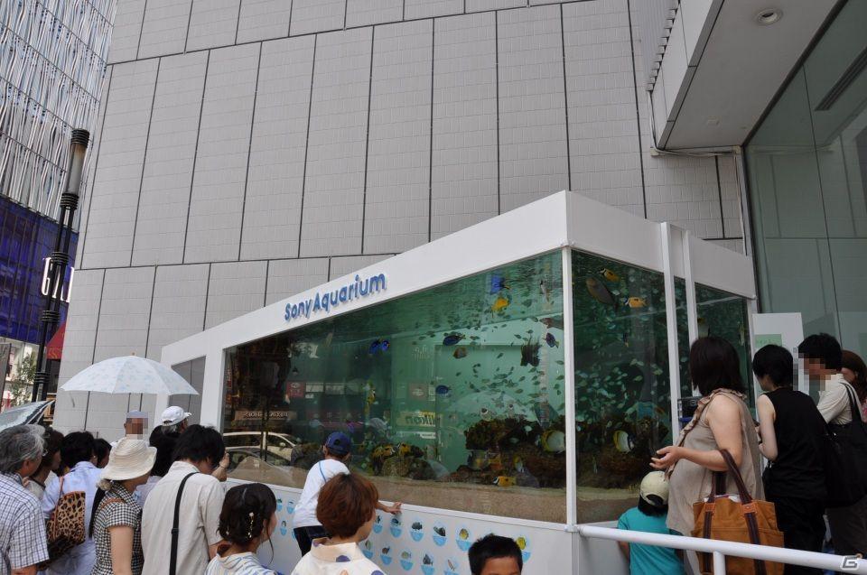 真夏の銀座に小さな海が出現！大画面で迫力のバーチャルリアリティを体験「Sony Aquarium VR 黒潮の海 イベント～VR黒潮の海で泳ごう！～」レポートの画像83