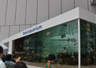 真夏の銀座に小さな海が出現！大画面で迫力のバーチャルリアリティを体験「Sony Aquarium VR 黒潮の海 イベント～VR黒潮の海で泳ごう！～」レポート