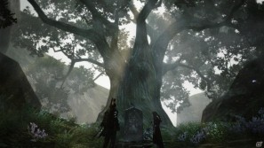 PS3/Xbox 360「ドラゴンズ ドグマ」人目を忍ぶように森に住む少女「セレナ」を紹介の画像9