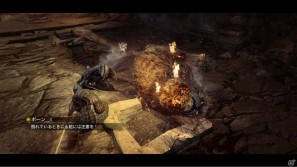 PS3/Xbox 360「ドラゴンズ ドグマ」“ポーン”を共有できるオンライン要素を紹介の画像11