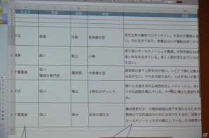 【CEDEC 2011】各セクションの情報共有により品質向上を目指す―「社内外でさまざまに存在するローカライズの壁を越えよう」で語られたローカライズのあり方の画像5