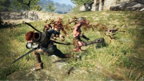 グリフォン？キメラ？PS3/Xbox 360「ドラゴンズ ドグマ」東京ゲームショウで遊べる2つのクエストを徹底紹介の画像9