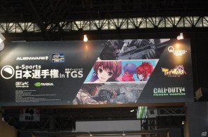 【TGS 2011】「e-Sports日本選手権 in TGS」激戦が繰り広げられた「トイ・ウォーズ」決勝戦の画像1
