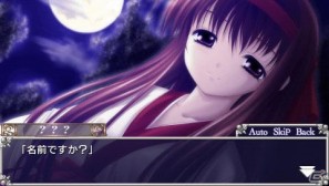 異世界を舞台としたシミュレーションRPGがPSPで登場！「永遠のアセリア －この大地の果てで－」2012年1月26日発売決定の画像16