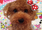 グリー、「Snapeee」などのスマートフォン向けアプリを提供するマインドパレットとの資本業務提携を発表