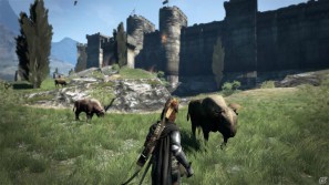 PS3/Xbox 360「ドラゴンズ ドグマ」主人公の冒険の拠点「領都グラン・ソレン」の全景を紹介の画像7