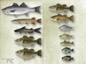 3DS「Fishing 3D」公式サイトオープン！ゲーム最新情報も紹介の画像25