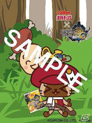 3DS「モンスターハンター3（トライ）G」コラボレーションポテトチップス＆ドリンクが12月より発売の画像6