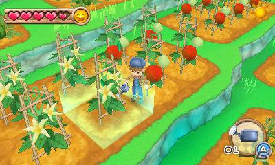 3DS「牧場物語 はじまりの大地」イメージガールが人気モデルの田中美保さんに決定！公式サイトもリニューアルの画像3