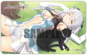 PSP「シャイニング・ブレイド」販売店別予約特典＆限定版内容を一挙紹介！の画像6