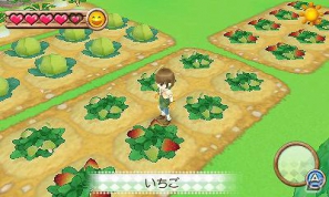3DS「牧場物語 はじまりの大地」公式サイトにて田中美保さんによる「体験プレイ映像」を公開の画像4