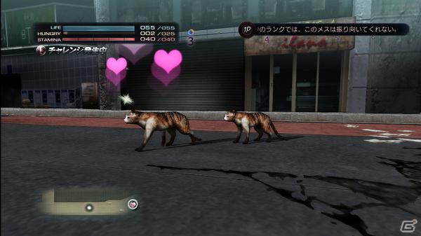 生き延びること、それが第一の目的―PS3「TOKYO JUNGLE」ゲームモードとサバイバルのポイントを紹介！の画像13