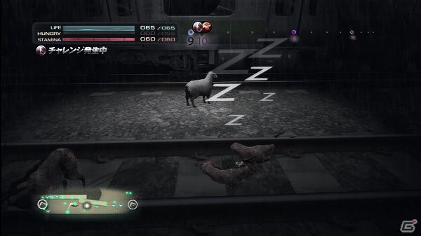 生き延びること、それが第一の目的―PS3「TOKYO JUNGLE」ゲームモードとサバイバルのポイントを紹介！の画像16