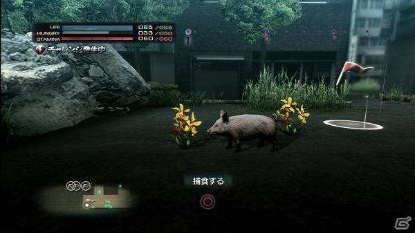 生き延びること、それが第一の目的―PS3「TOKYO JUNGLE」ゲームモードとサバイバルのポイントを紹介！の画像2