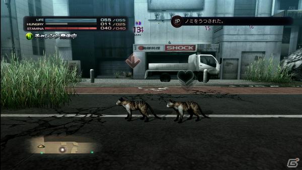 生き延びること、それが第一の目的―PS3「TOKYO JUNGLE」ゲームモードとサバイバルのポイントを紹介！の画像25