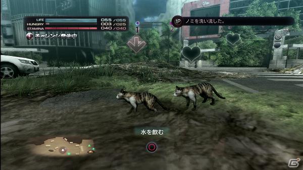 生き延びること、それが第一の目的―PS3「TOKYO JUNGLE」ゲームモードとサバイバルのポイントを紹介！の画像26