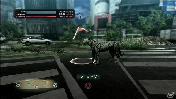 生き延びること、それが第一の目的―PS3「TOKYO JUNGLE」ゲームモードとサバイバルのポイントを紹介！の画像3