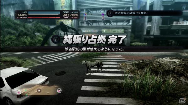 生き延びること、それが第一の目的―PS3「TOKYO JUNGLE」ゲームモードとサバイバルのポイントを紹介！の画像4