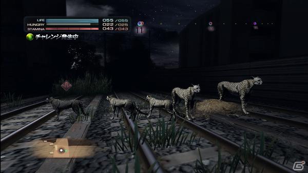 生き延びること、それが第一の目的―PS3「TOKYO JUNGLE」ゲームモードとサバイバルのポイントを紹介！の画像6