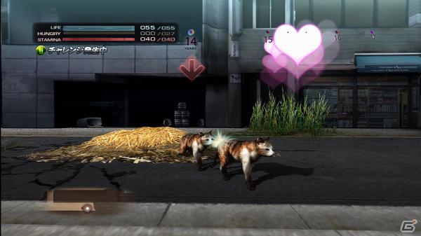 生き延びること、それが第一の目的―PS3「TOKYO JUNGLE」ゲームモードとサバイバルのポイントを紹介！の画像8