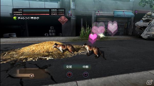 生き延びること、それが第一の目的―PS3「TOKYO JUNGLE」ゲームモードとサバイバルのポイントを紹介！の画像9