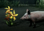 生き延びること、それが第一の目的―PS3「TOKYO JUNGLE」ゲームモードとサバイバルのポイントを紹介！