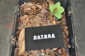 PS3「DATURA」の世界から編集部に謎の小包が到着…その中には一体？？3月23日よりギミックが楽しめる公式サイトオープンの画像5