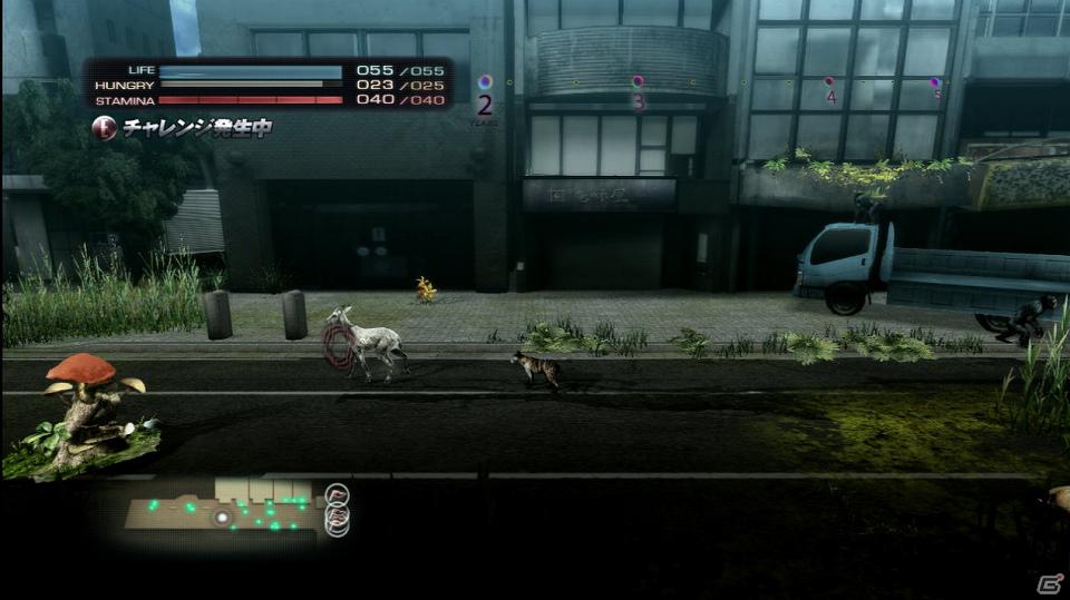 PS3「TOKYO JUNGLE」動物のコスチュームやアンロックに必要な「サバイバルポイント」を紹介―ハンティングには欠かせないアクション要素の情報も！の画像17
