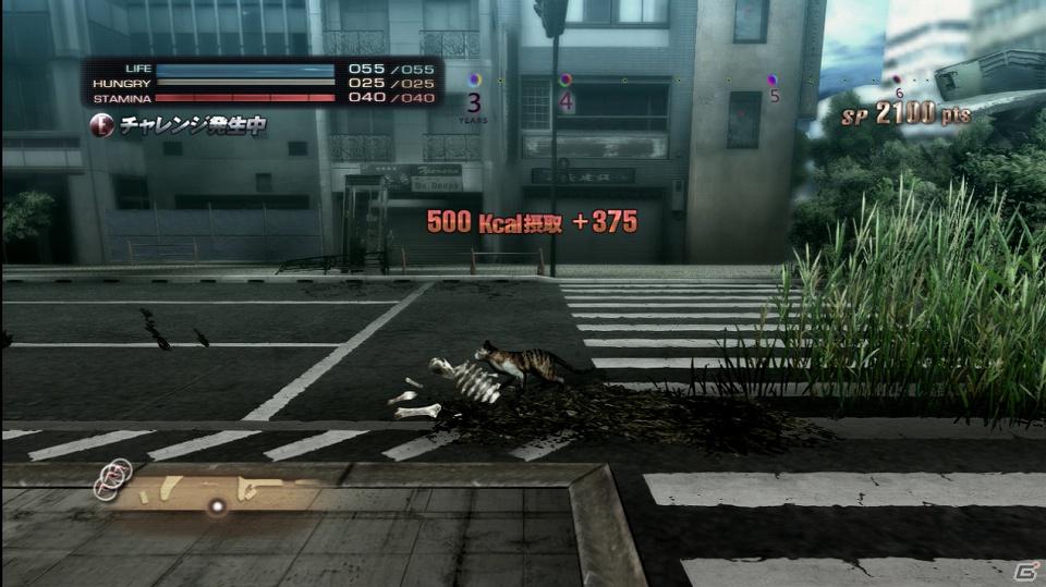 PS3「TOKYO JUNGLE」動物のコスチュームやアンロックに必要な「サバイバルポイント」を紹介―ハンティングには欠かせないアクション要素の情報も！の画像2