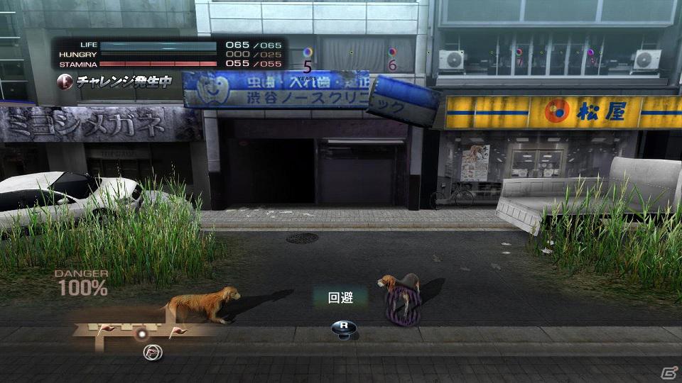 PS3「TOKYO JUNGLE」動物のコスチュームやアンロックに必要な「サバイバルポイント」を紹介―ハンティングには欠かせないアクション要素の情報も！の画像20