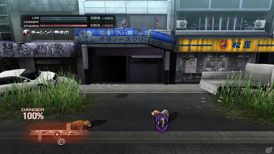 PS3「TOKYO JUNGLE」動物のコスチュームやアンロックに必要な「サバイバルポイント」を紹介―ハンティングには欠かせないアクション要素の情報も！の画像21
