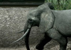 PS3「TOKYO JUNGLE」動物のコスチュームやアンロックに必要な「サバイバルポイント」を紹介―ハンティングには欠かせないアクション要素の情報も！