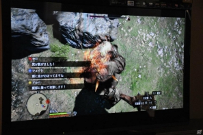 PS3/Xbox 360「ドラゴンズドグマ」しっかりとしたRPG要素、カスタマイズの楽しさ、アクションの奥深さなど、プレゼンテーションで語られた魅力を紹介の画像137