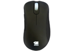 マスタードシード、ZOWIE GEARのゲーミングマウス「EC EVO」および「MiCO」を順次販売