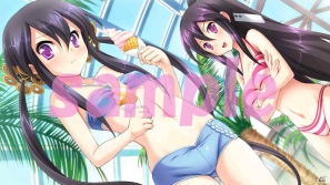 PSP「桜花センゴク Portable」サンプルボイス＆カスタムテーマ第2弾を公開！ムフフな店舗特典イラストラフもの画像6