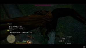 PS3/Xbox 360「ドラゴンズドグマ」覚者たちよ、旅の準備はできているか？まもなく壮大な冒険が始まる！待望の体験版プレイインプレッションの画像102