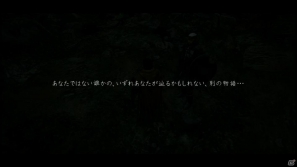 PS3/Xbox 360「ドラゴンズドグマ」覚者たちよ、旅の準備はできているか？まもなく壮大な冒険が始まる！待望の体験版プレイインプレッションの画像31