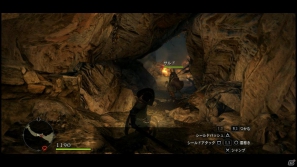 PS3/Xbox 360「ドラゴンズドグマ」覚者たちよ、旅の準備はできているか？まもなく壮大な冒険が始まる！待望の体験版プレイインプレッションの画像44