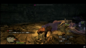 PS3/Xbox 360「ドラゴンズドグマ」覚者たちよ、旅の準備はできているか？まもなく壮大な冒険が始まる！待望の体験版プレイインプレッションの画像71