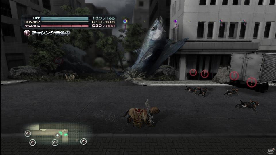 PS3「TOKYO JUNGLE」サバイバルモードで上を目指すためには欠かせない「チャレンジ」や「イベント」などの要素を紹介！の画像10
