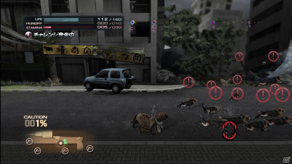 PS3「TOKYO JUNGLE」サバイバルモードで上を目指すためには欠かせない「チャレンジ」や「イベント」などの要素を紹介！の画像11