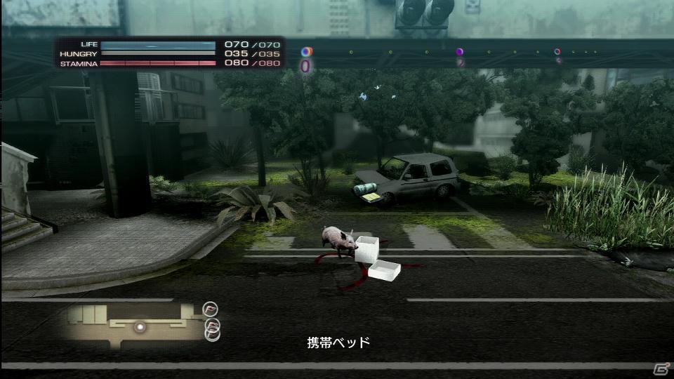 PS3「TOKYO JUNGLE」サバイバルモードで上を目指すためには欠かせない「チャレンジ」や「イベント」などの要素を紹介！の画像20