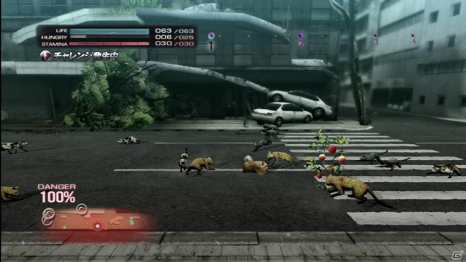 PS3「TOKYO JUNGLE」サバイバルモードで上を目指すためには欠かせない「チャレンジ」や「イベント」などの要素を紹介！の画像5