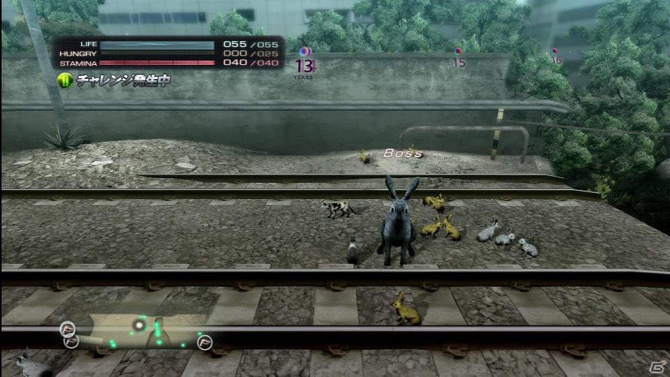 PS3「TOKYO JUNGLE」サバイバルモードで上を目指すためには欠かせない「チャレンジ」や「イベント」などの要素を紹介！の画像6