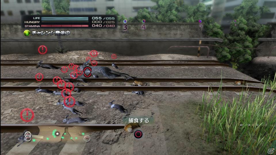 PS3「TOKYO JUNGLE」サバイバルモードで上を目指すためには欠かせない「チャレンジ」や「イベント」などの要素を紹介！の画像7